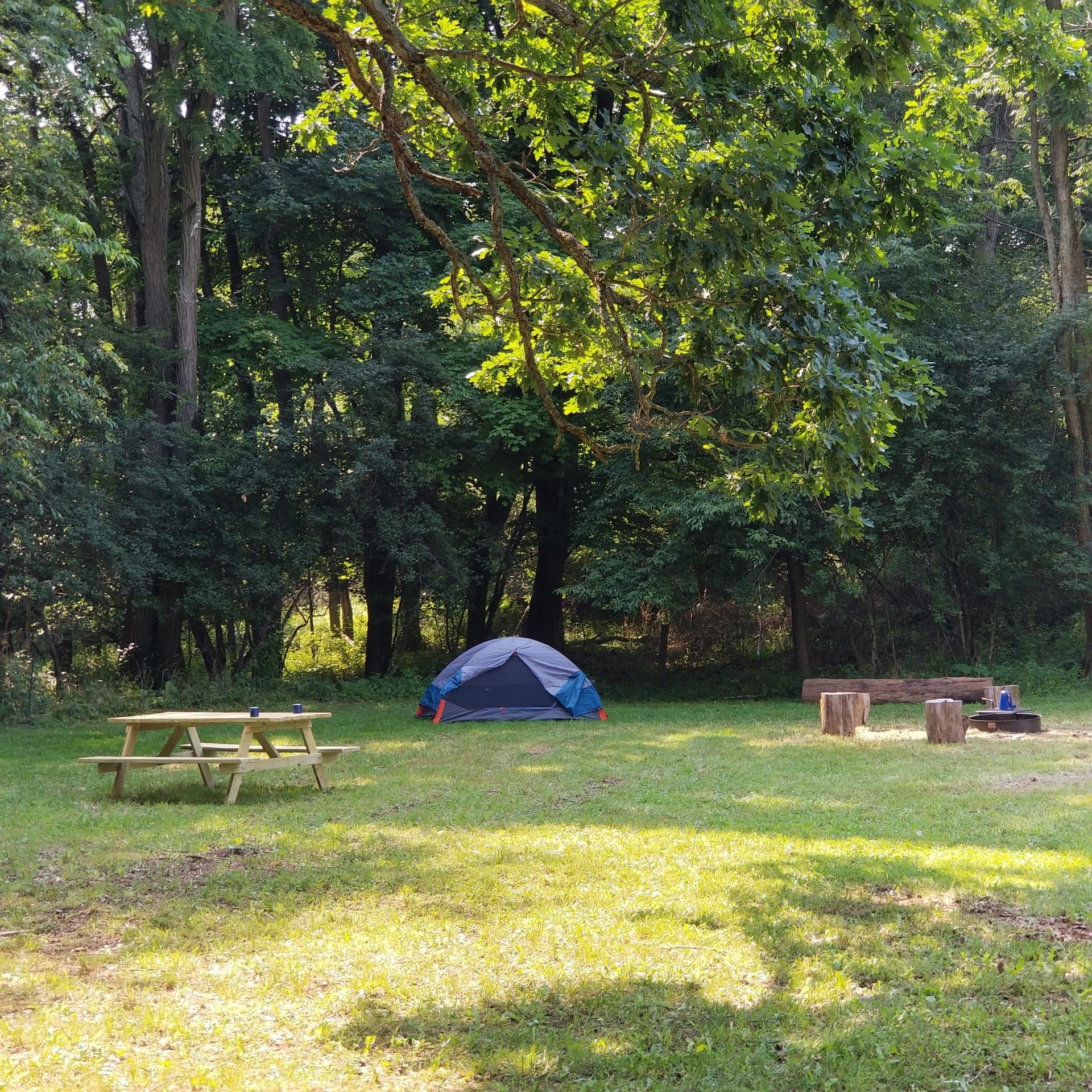 Best Camping in and near Swallow Falls State Park