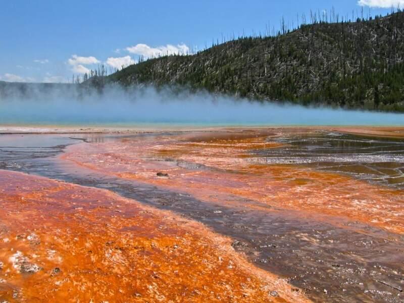 Le parc de Yellowstone 