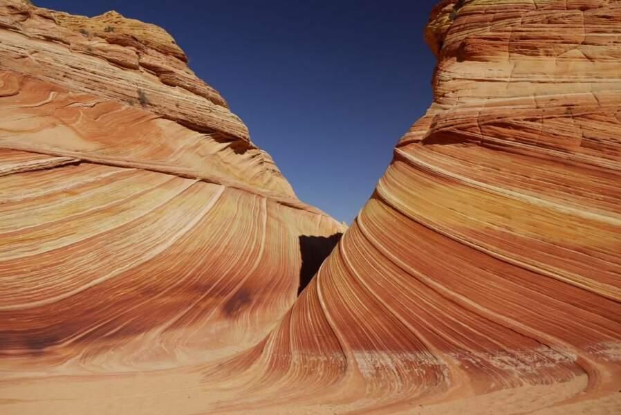 La Vague, en Arizona 
