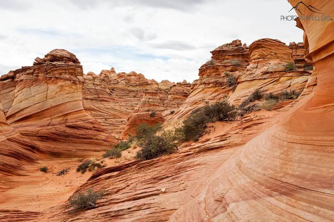 Die Coyote Buttes South 